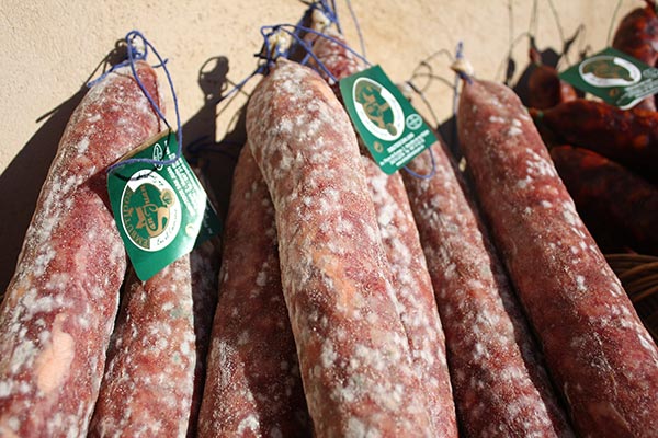Salchichon
